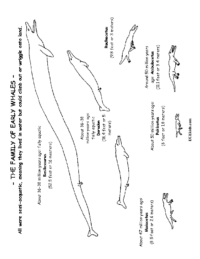 Early Whales Coloring Page