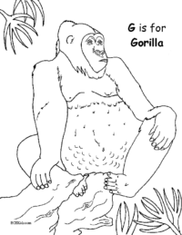 G for Gorilla