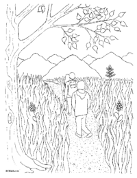 Kids Forest Nature Walk