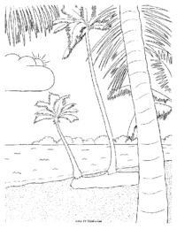Palm Trees on Beach