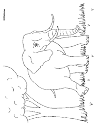 Elephant in the Forest Coloring Page