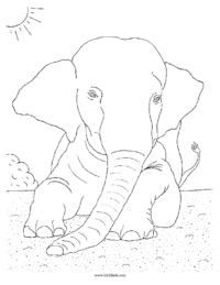 Sitting Elephant Coloring Page