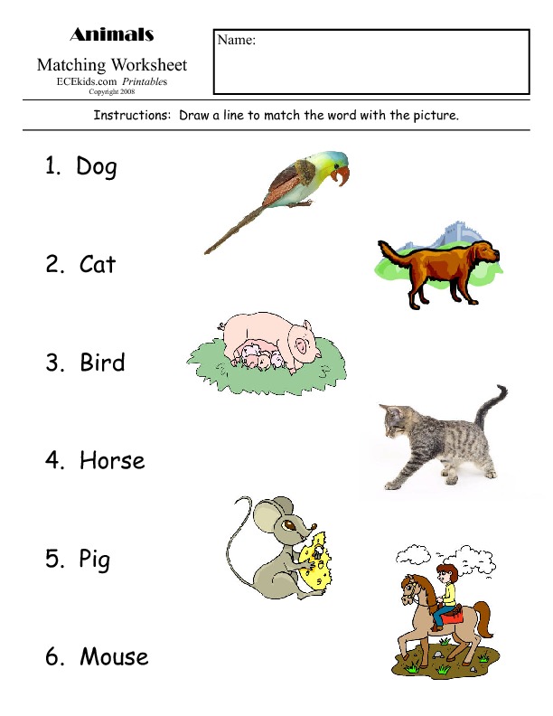 Matching Animal Worksheet - ECEkids