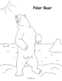 Polar Bear Coloring Sheet