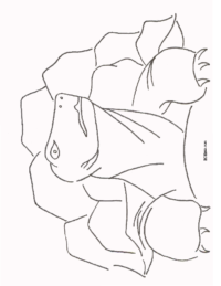 Turtle Coloring Page