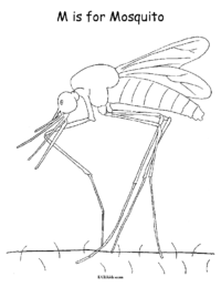 M is for Mosquito Coloring Picture