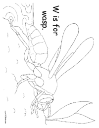 W is for Wasp Coloring Page