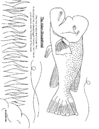 Asian Sheepshead Fish Coloring Page