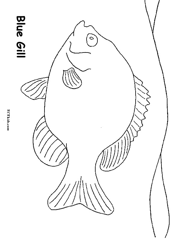 Blue Gill Coloring Page - ECEkids