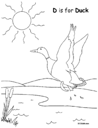 D is for Duck Coloring Page