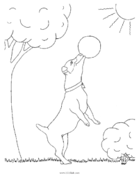 Dog Playing Ball Coloring Page
