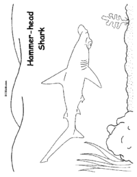 Hammer Head Shark Coloring Page