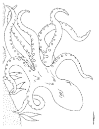 octopus-coloring-sheet-5