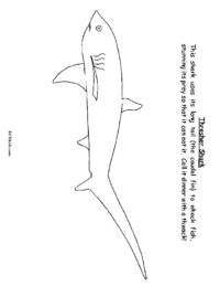 Thresher Shark Coloring Page