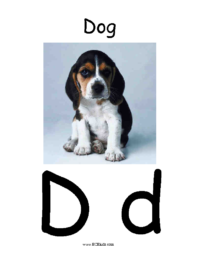 Letter D Classroom Poster