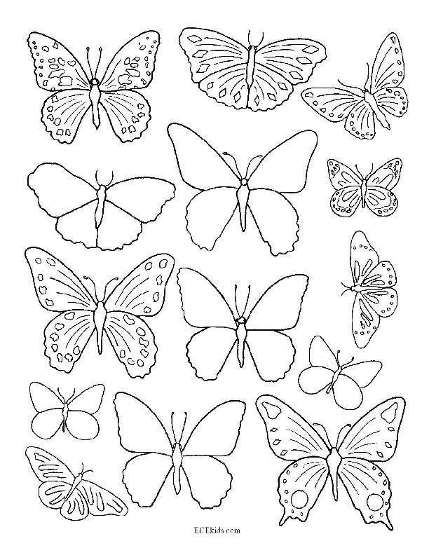 Butterfly Stencil - ECEkids