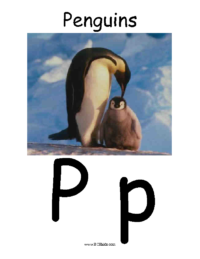 Letter P Poster